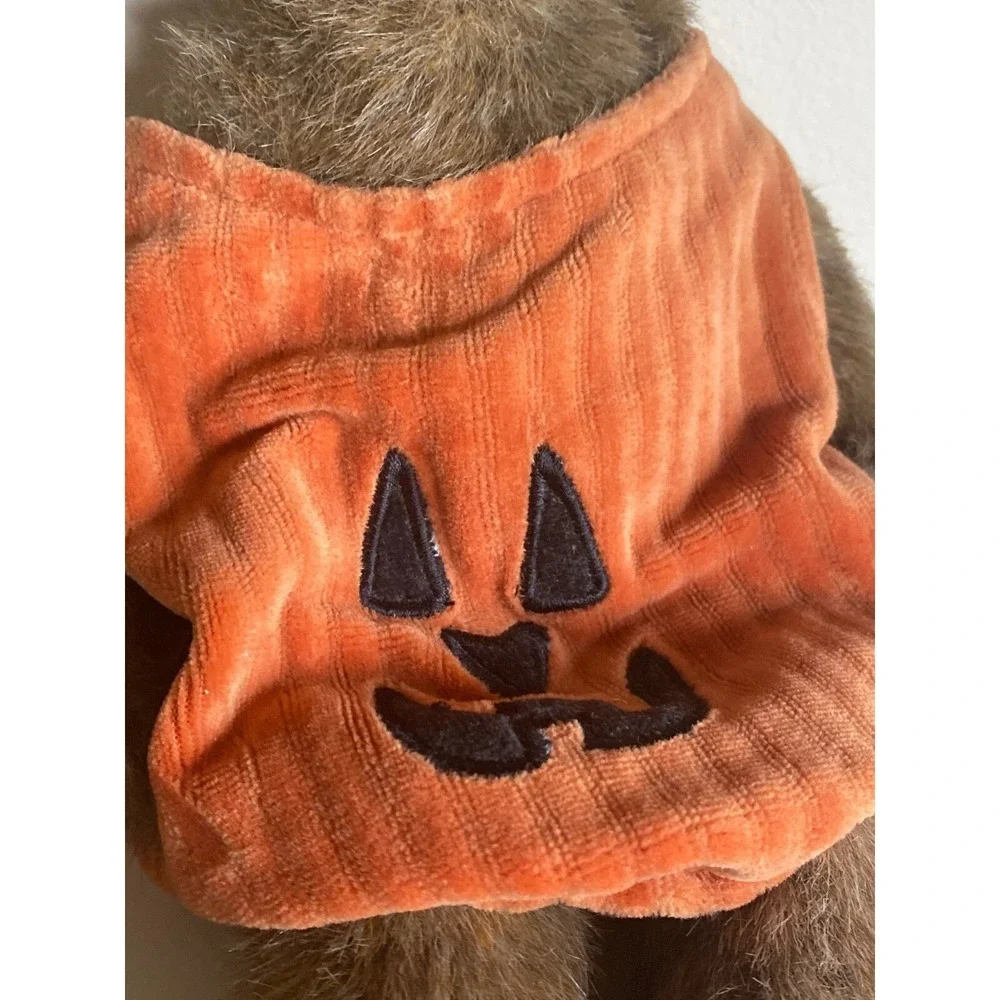 Boyds Bear Jack O Lantern‎ 12
